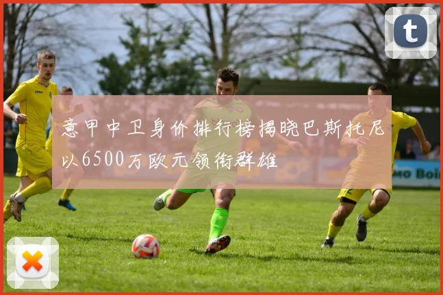 意甲中卫身价排行榜揭晓巴斯托尼以6500万欧元领衔群雄