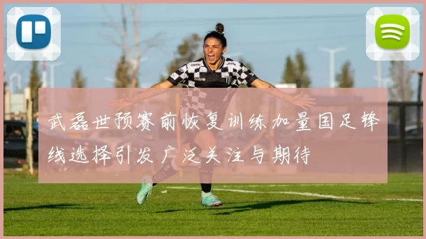 武磊世预赛前恢复训练加量国足锋线选择引发广泛关注与期待
