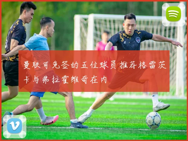 曼联可免签的五位球员推荐格雷茨卡与弗拉霍维奇在内